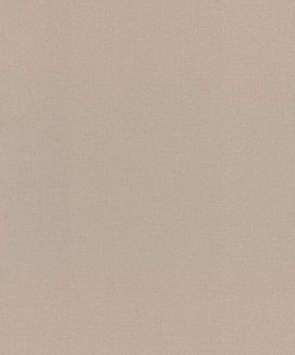 Шпалери вінілові на флізеліновій основі Rasch Novella 983524