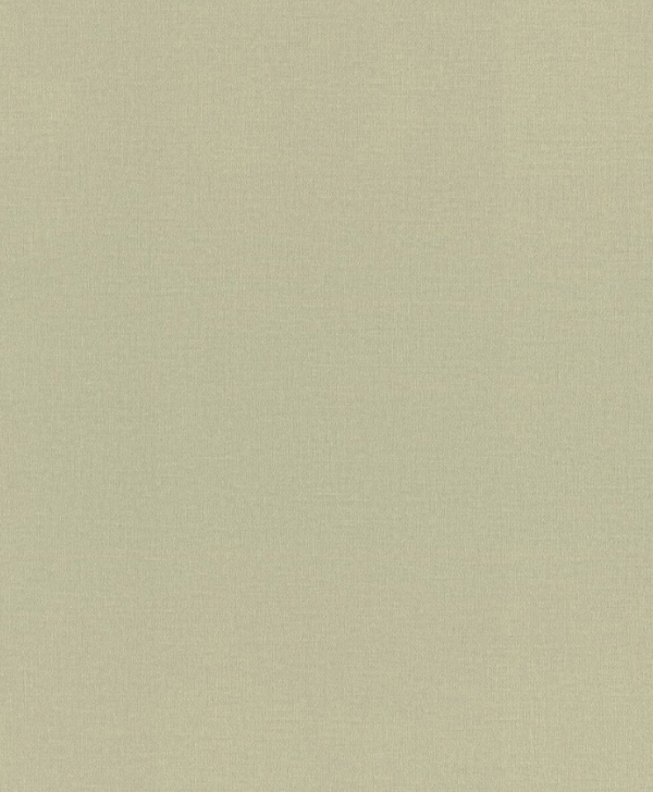Шпалери вінілові на флізеліновій основі Rasch Novella 983562