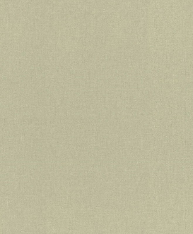 Шпалери вінілові на флізеліновій основі Rasch Novella 983562